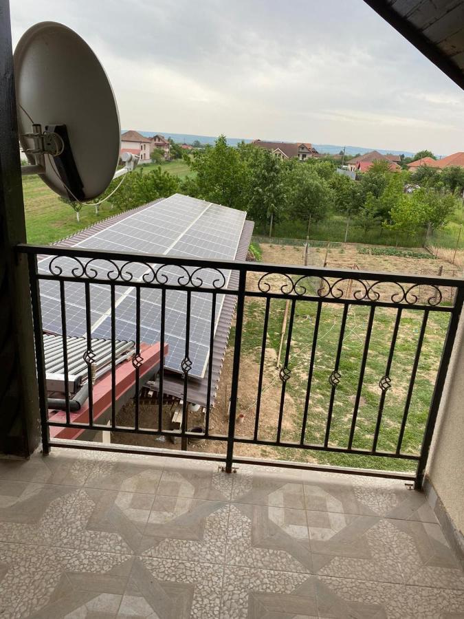 Casa Brancusiana Apartment ทาร์กู จิอู ภายนอก รูปภาพ