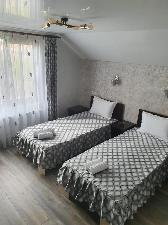 Casa Brancusiana Apartment ทาร์กู จิอู ภายนอก รูปภาพ