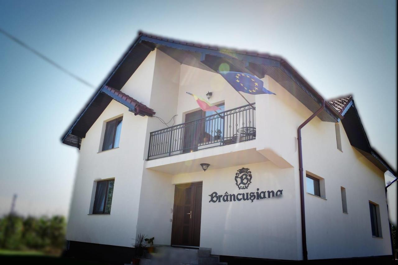 Casa Brancusiana Apartment ทาร์กู จิอู ภายนอก รูปภาพ