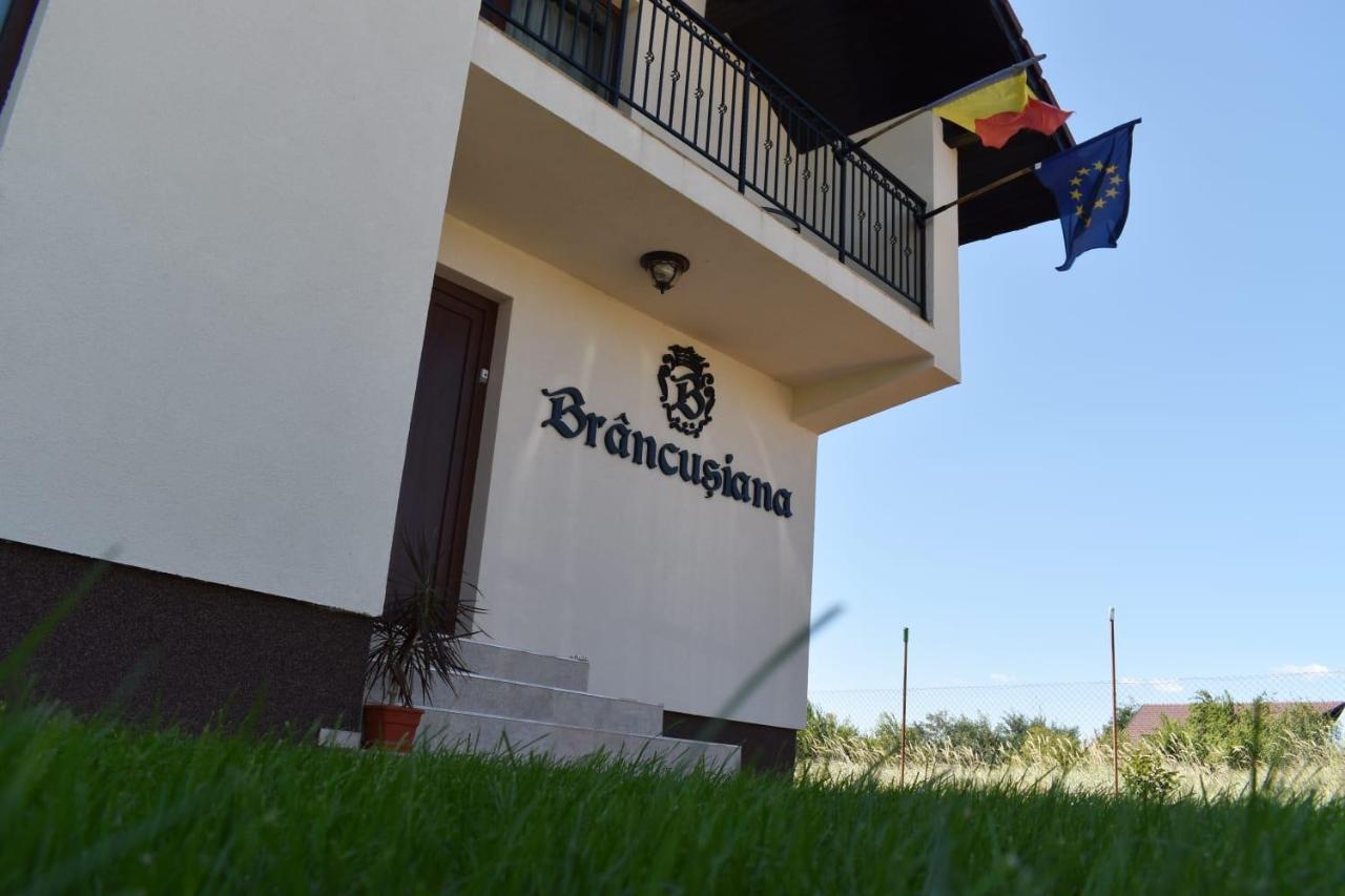 Casa Brancusiana Apartment ทาร์กู จิอู ภายนอก รูปภาพ